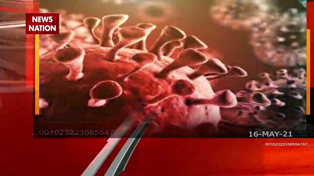 Black Fungus: Misuse of Steroids is major cause of Mucormycosis?