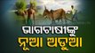 Odisha Issues Registration Guidelines For Rabi Crop Procurement