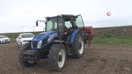 - Çiftçiler silajlık mısır ekimine başladı