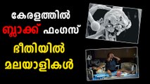 കേരളത്തിൽ ബ്ലാക്ക് ഫംഗസ്..പേടിക്കേണ്ടതുണ്ടോ ഈ ഫംഗസിനെ