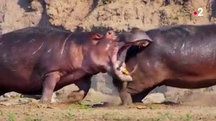 Du ciel aux océans (Partie 1)