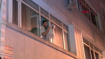 SPOR İstanbul'da şampiyonluk kutlamaları