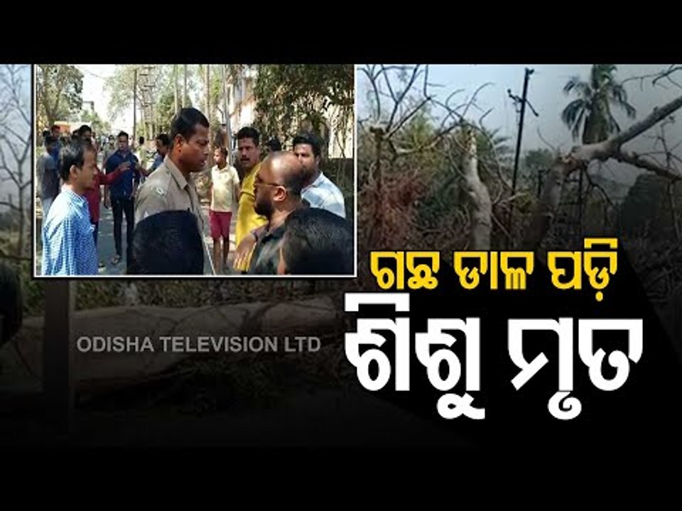 Boy Killed, Parents Injured After Tree Falls On Them In Jajpur