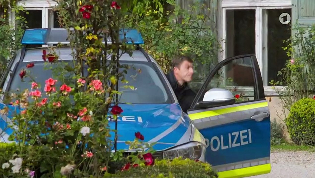 Um himmels willem: pechvogel | folge 255