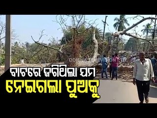 Tree Branch Falls On A Family In Jajpur, Child KIlled