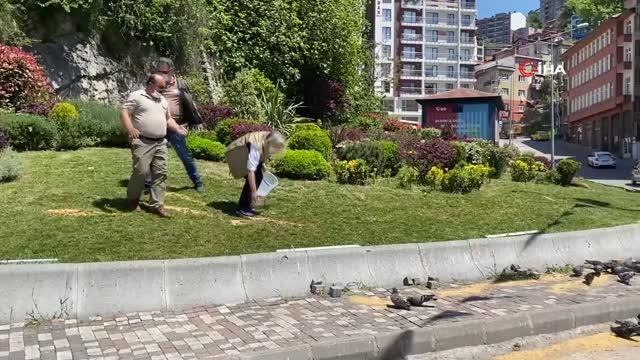 - Milli Parklar ekipleri sokak ve yaban hayvanlarına sahip çıktı