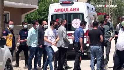 Korkunç olay! Köpekler saldırdı, 6 yaşındaki Ruken feci şekilde öldü