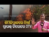 Similipal Wildfire | Effort On By Forest Dept & Sabuja Bahini To Control Fire In Podadiha Range