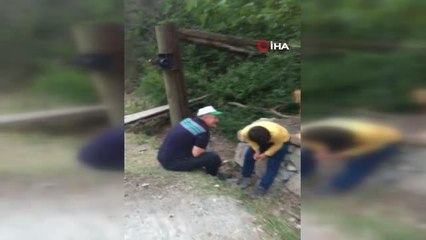 - Artvin'de iki aylık oğlakların sahipleriyle arasındaki dostluk dikkat çekiyor