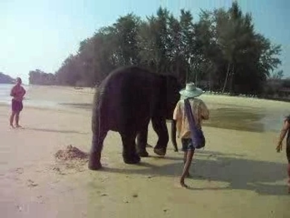 ELEPHANT THAILANDE
