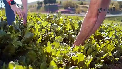 تطبيقات رائعة ستساعدك على العناية بالنباتات