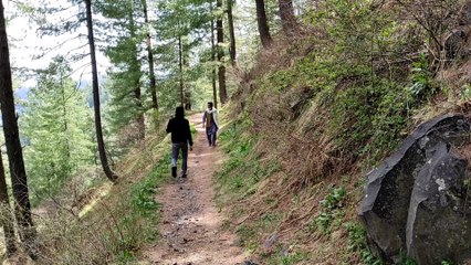 Islamabad To Miranjani Nathia Gali Tour #Miranjani