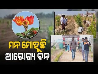 Jeypore Forest Range Creates Huge Arogya Bana