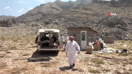 - Kilogramı 250 TL'den satılan Karakovan balı, yılda sadece 4 kilogram üretilebiliyor