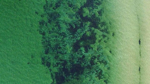 Sweden oceans: Scientists measure largest dead zone in world