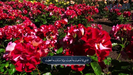 دعاء اليوم الـ 29 من رمضان