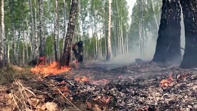 Russia: caldo e afa in molte zone. Tutti al mare nel week end ma è allarme incendi