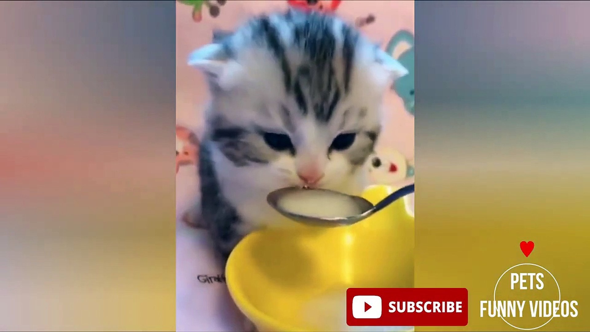 ⁣Cute Pets and Animals Funny videos #7
