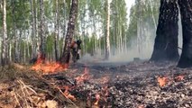 Rússia sofre com calor e incêndios