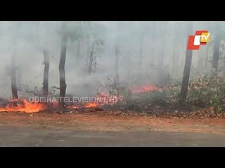Reactions Of Mayurbhanj Queen & Princess On Similipal Wildfire
