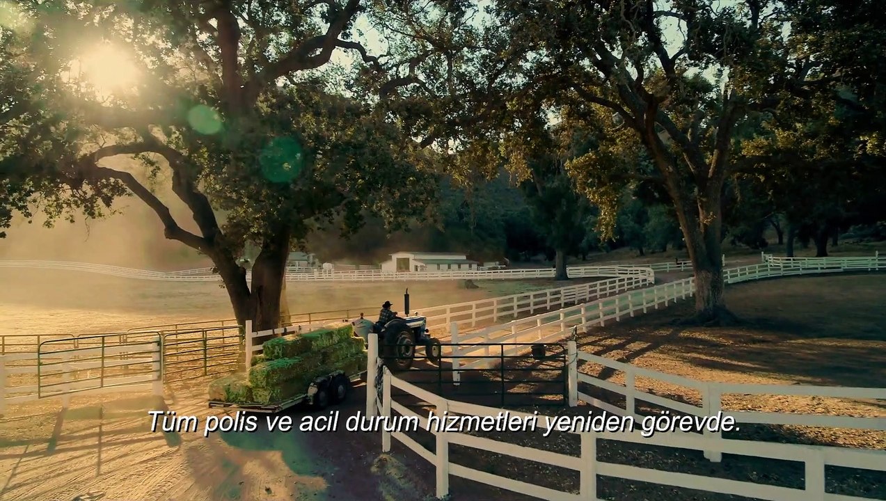 ARINMA GECESİ SONSUZA DEK Film