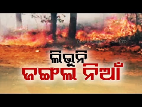 Similipal Forest Fire | Fire Fighting Operation Underway