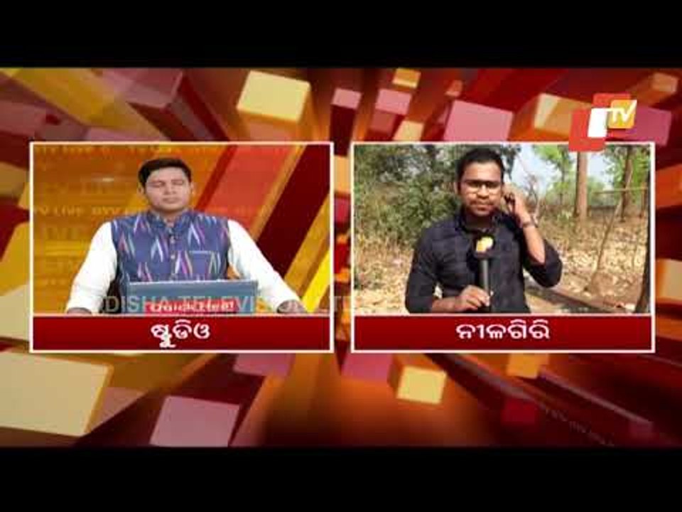 Nilagiri Fire Breaks Out In Tinikosia Forest In Balasore, Bear Spotted Straying In Town