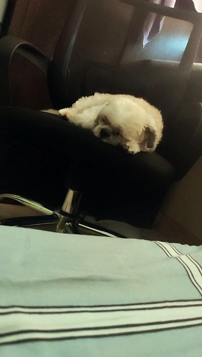 snickers