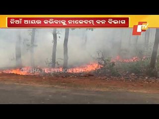 Similipal Wildfire | 10 Days On, No End In Sight