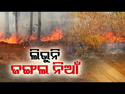 Similipal Wildfire | 10 Days On, But Fire Is Yet To Be Doused