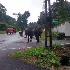 പുതിയ വാഹനം..