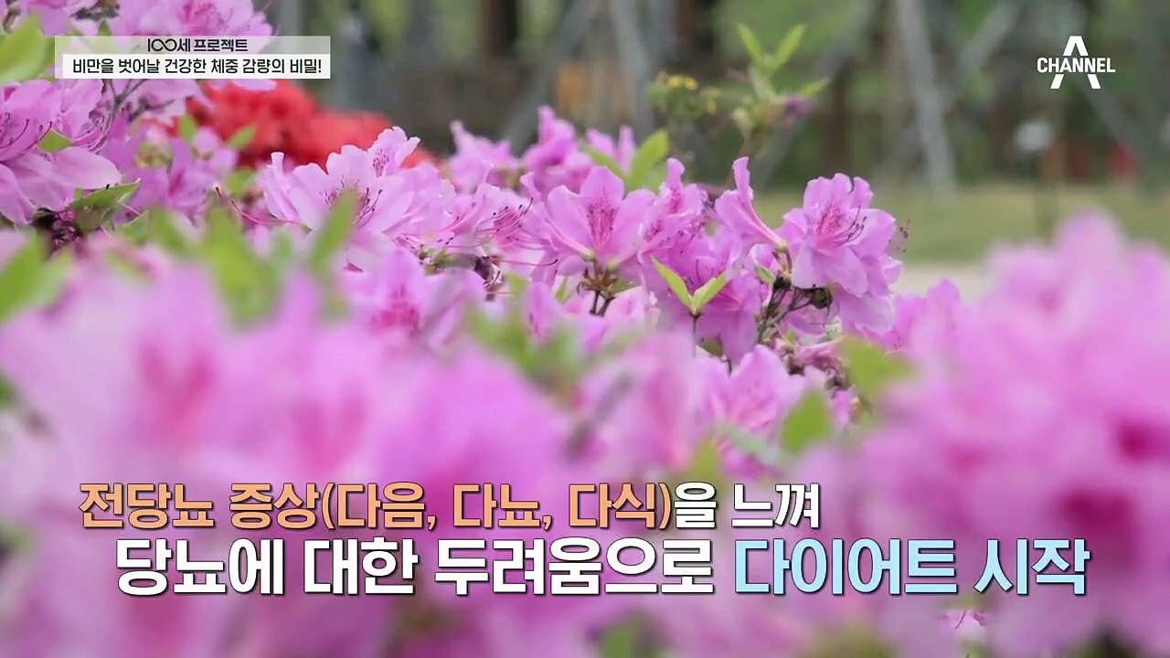 45kg 감량 성공?! 비만을 날려버린 끈기있는 체중 감량 비법
