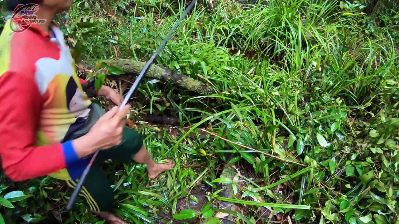 Ikan ini Diremehkan, tapi di Lamandau Laku Keras & Mahal bos... #144