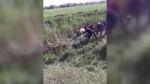 Son dakika haberi | Çamura saplanarak mahsur kalan ineği itfaiye kurtardı