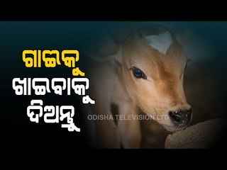 Bhagya Rekha - Know Your Horoscope For Today 6 March 2021 | OTV
