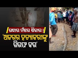 Python's Death | Snake Helpline Secretary Writes To Crime Brach For Action