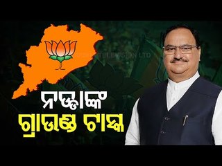 BJP Chief JP Nadda Promises To Strengthen Party's Hold In Every Constituency
