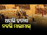 Massive irregularities in paddy procurement in Bolangir