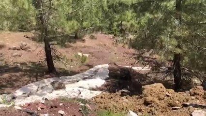 Ormanlık alana beton harcı dökülmesiyle ilgili inceleme başlatıldı