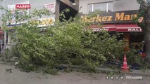 Kırıkkale'de fırtına: Çatılar uçtu, ağaçlar devrildi