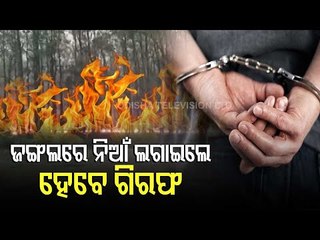 Immediate Arrest For Those Setting Fire In Forest In Odisha