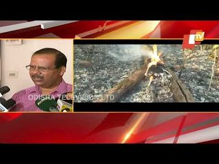 Sambalpur DFO Warns Of Arrest If Caught Lighting Fire In Jungle
