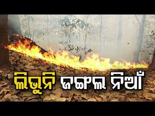 93 Points Still Under Fire In Similipal Reserve