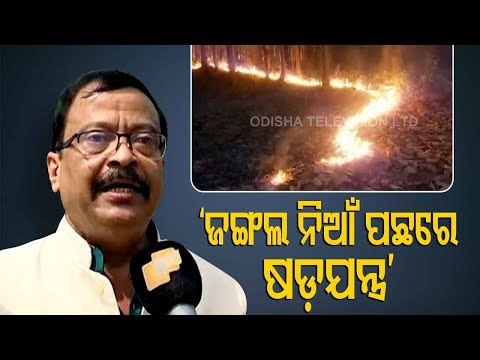 Odisha Forest Fire | Odisha BJP MP Team Meets Union Environment Minister Prakash Javadekar