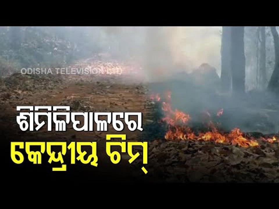 Similipal Wildfire | Top Central Team Members Arrive In Mayurbhanj To Assess Situation