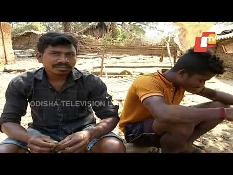 Kalimela LAMPCS MD Suspended Over Irregularities In Farmers Registration