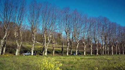 كاراداي الموسم 2 الحلقة 31