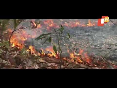Fire Breaks Out In Pampuni Forest In Koraput