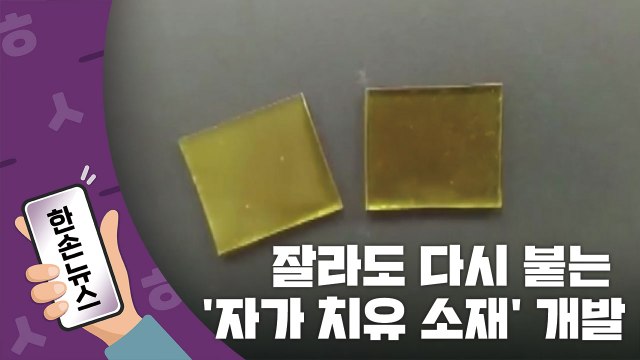 [15초뉴스] 잘랐는데, 저절로 붙는다 ...국내 연구진이 개발한 '자가 치유 소재' / YTN