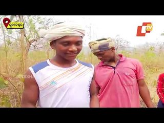 Special Story | Similipal Wildfire - Ground Zero Situation Through OTV Lens